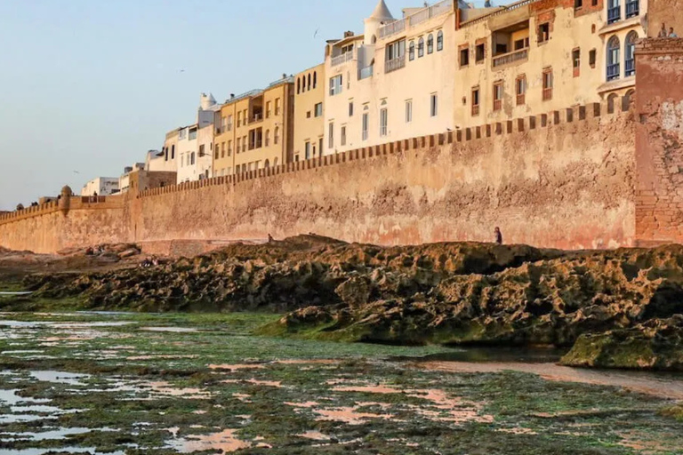 From Marrakech: Essaouira Day Trip with Free Time to Explore From Marrakech: Private Day Trip to Essaouira