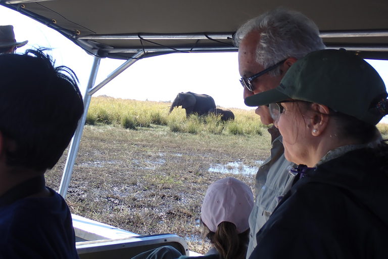 Chobe River Safari Cruise with Professional Guide