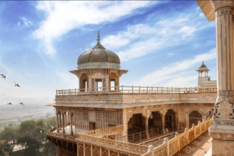 Van Delhi: Sunrise Taj Mahal privétour met Agra Fort