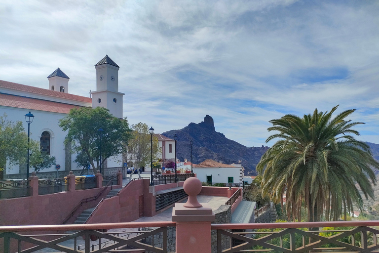 Las Palmas: Grand Tour van Maspalomas naar de bergen van Tejeda