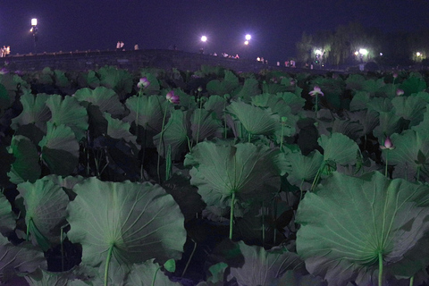 رحلة مسائية في هانغتشو مع موسيقى في الهواء الطلق