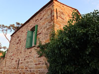 Chios, Orange Farm Trip & Tasting - Citrus Museum bezoek - Housity
