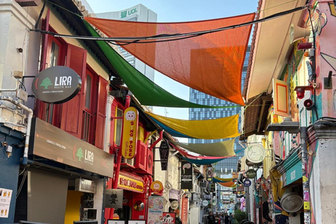 جولة بالسيارة في سنغافورة: الحي الصيني/حاجي لين/جو تشياتجولة خاصة لمدة 4 ساعات | جولة خاصة