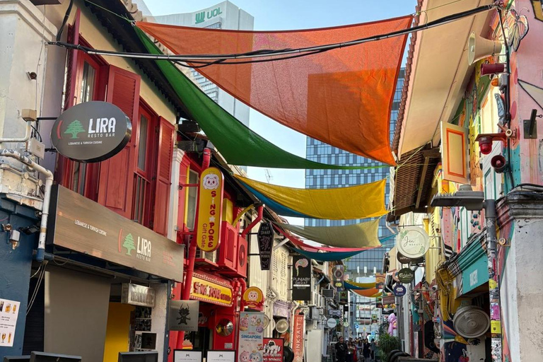 جولة بالسيارة في سنغافورة: الحي الصيني/حاجي لين/جو تشياتجولة خاصة لمدة 4 ساعات | جولة خاصة