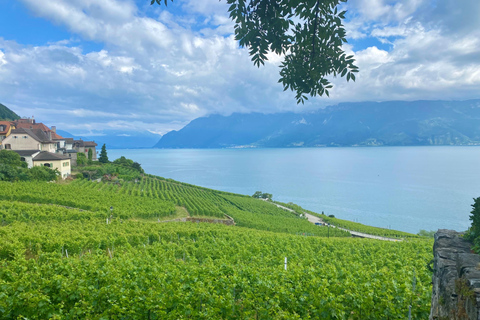 Berne : Excursion d'une journée dans la Gruyère et le vignoble de Lavaux avec fromage et vin