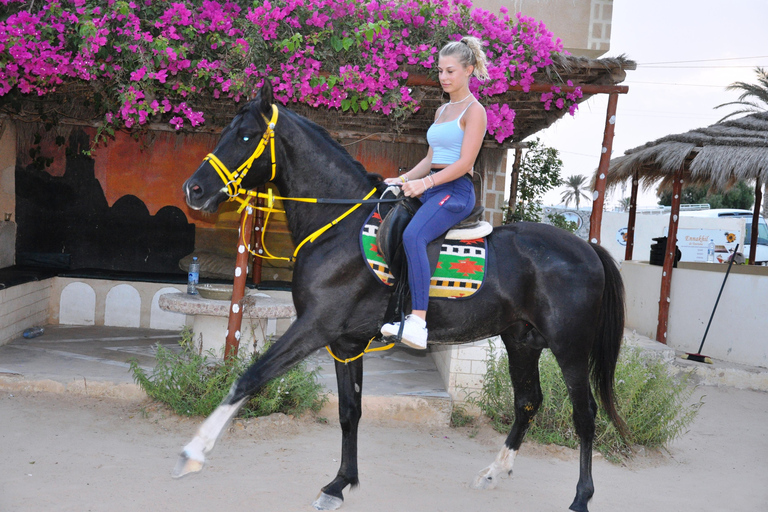 DJERBA : Paseo a caballo privado (2h).