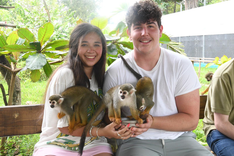 Puerto Plata: Monkey home, Damajagua Waterfalls & City Tour