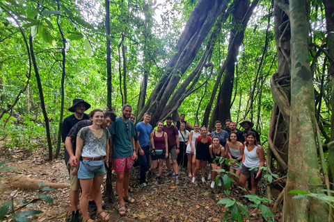 Från Krabi : Khao Sok Lake Tour i dagsutflykt