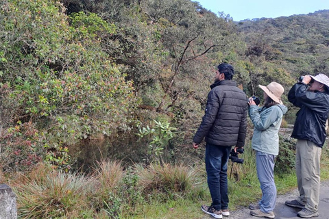 Kanneliya the Biodiversity Hot Spot Trekking from Galle