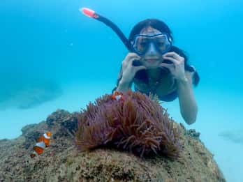 Pattaya: Private Speedboat to Nemo Island with Snorkel & BBQ
