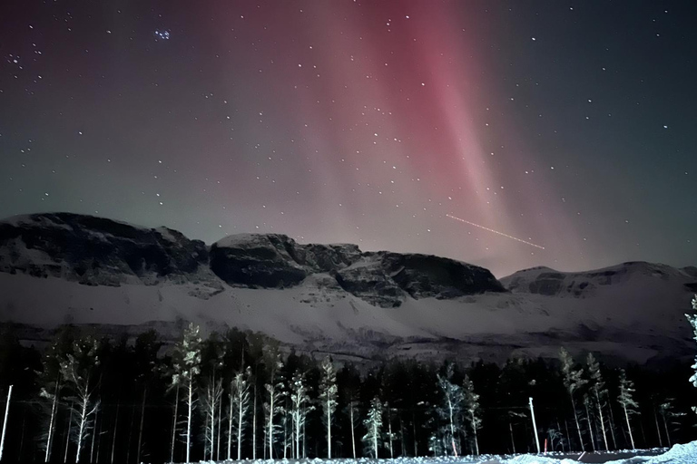 Chase the Magic of the Northern Lights in Tromsø Norway