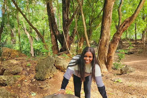 Ciudad de Mombasa: Excursión a tierra con degustación de comida callejera.