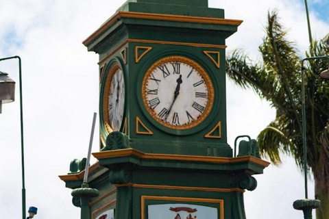 St Kitts: Panaramic Rainforests and Beach Excursions