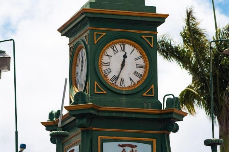 St Kitts: Panaramic Rainforests and Beach Excursions