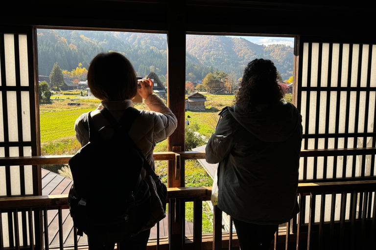 Gifu: Shirakawa-go Tour with a Private Guide 4-Hour Tour