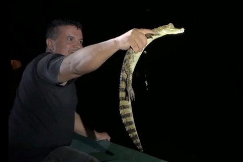 Manaus : Enfoque Nocturno