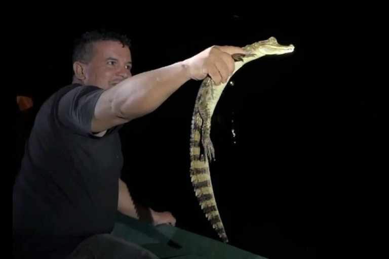 Manaus : Focagem Noturna