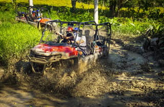 Von Punta Cana aus: Dschungel-Buggy-Fahrt und geführte Tour durch das Affenland