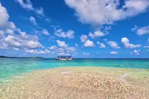 Iriomote : Tour en bateau de plongée en apnée à l'île de Barasu