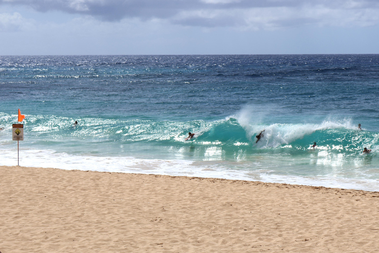 Oahu: Half-Day North Shore Scenic Tour