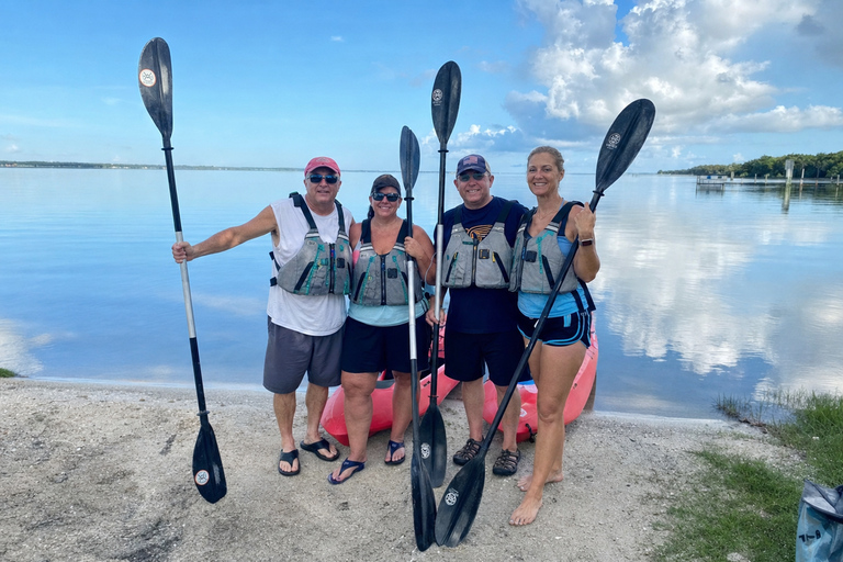 Florida: Indian River Daytime Manatee and Dolphin Kayak Tour Clear Bottom Kayak Day Tour