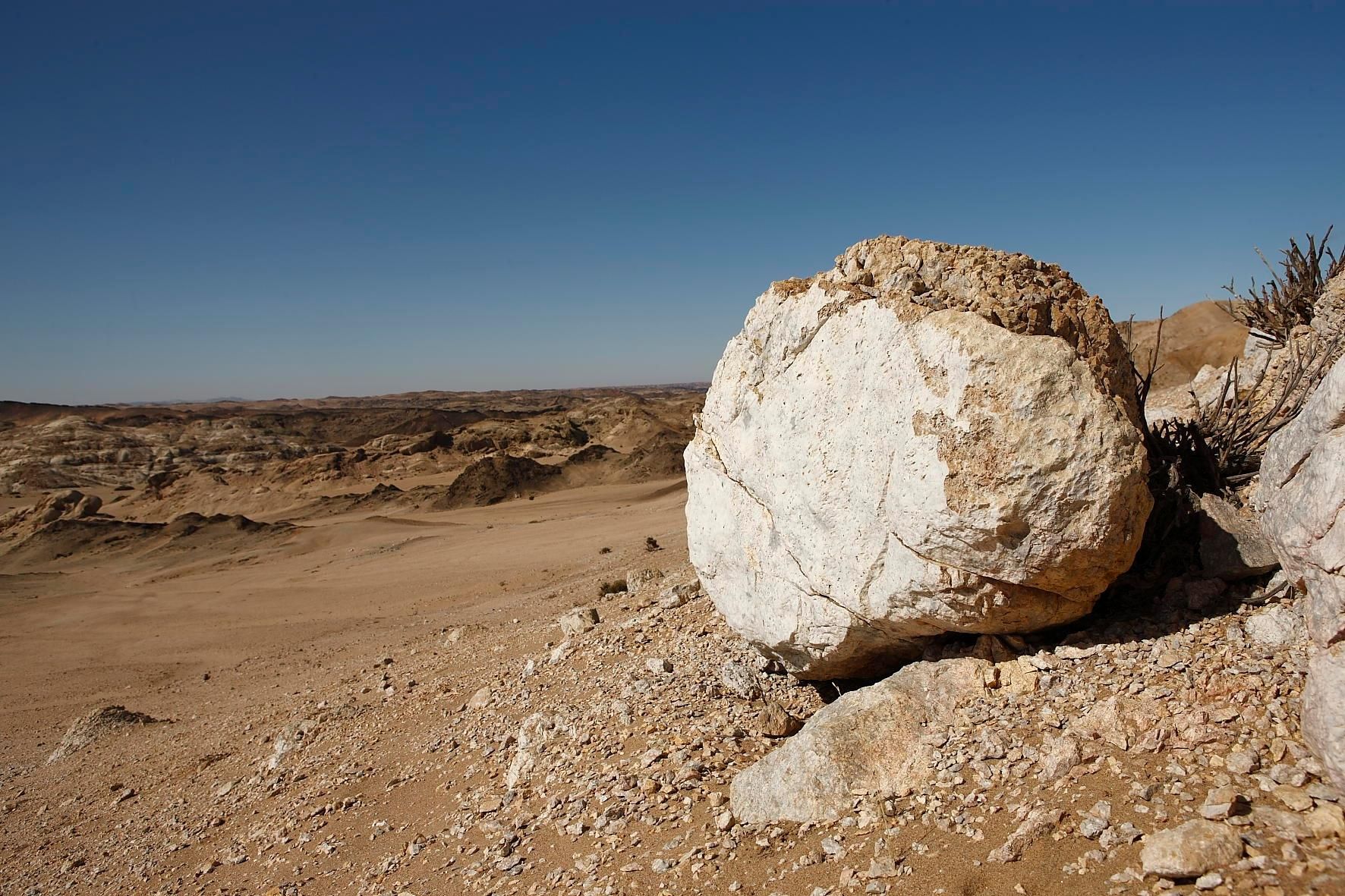 Swakopmund: Tour zum Mondtal und zur Welwitschia in der Namib-Wüste