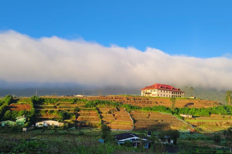 Sri Lanka: 10-Day Wildlife, Culture & Scenic Adventure