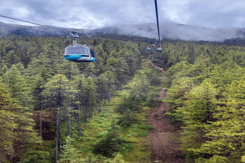 Banff: Gondola, Hot Spring and Three Lakes Tour