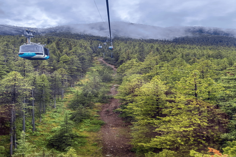 Banff: Gondola, Hot Spring and Three Lakes Tour