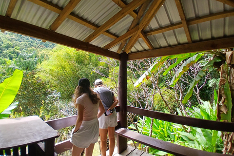 NADI: Garden Of Sleeping Giant & Tifajek Mudpool & Hotspring Shangri-La's Fijian Resort and Spa / Gecko Resort Pickup