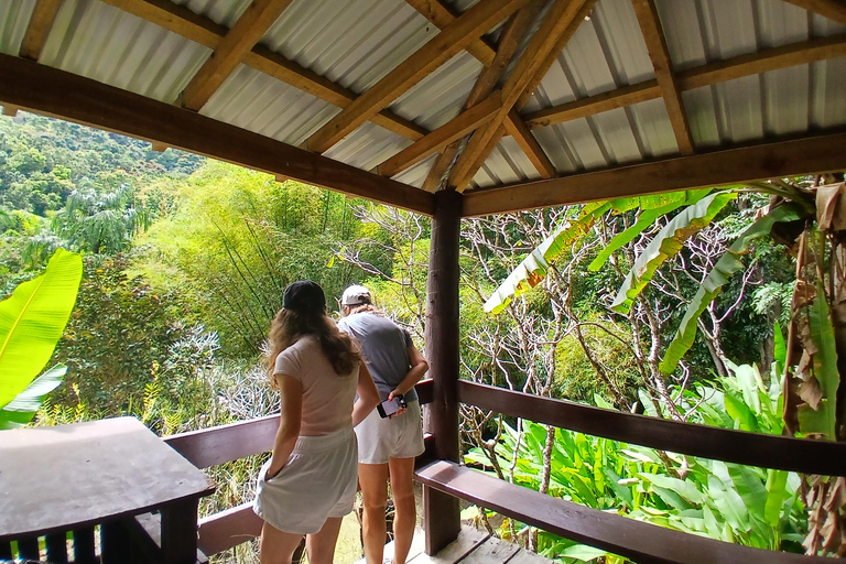 NADI: Garden Of Sleeping Giant & Tifajek Mudpool & Hotspring Shangri-La's Fijian Resort and Spa / Gecko Resort Pickup