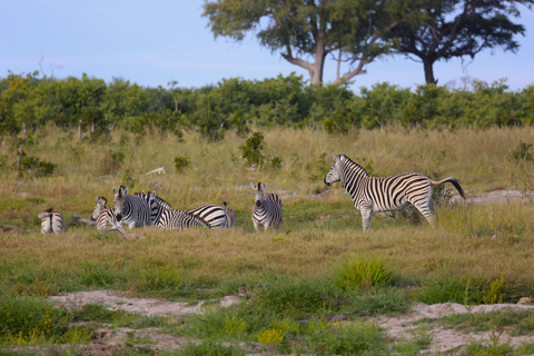 Victoria falls 4hours safari with picnic lunch or breakfast 4hours Victoria falls Safari with Picnic Breakfast.