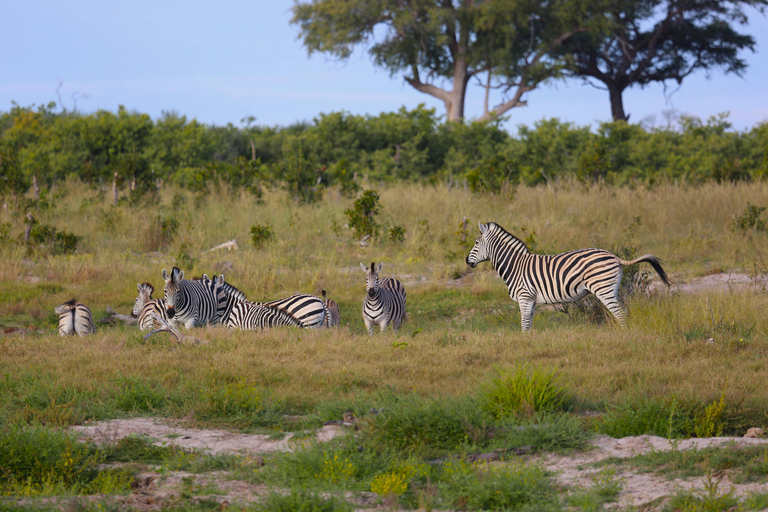 Victoria falls 4hours safari with picnic lunch or breakfast 4hours Victoria falls Safari with Picnic Breakfast.