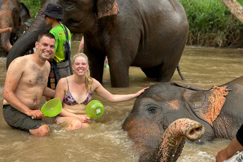 Chiang Mai: Doi Inthanon i wycieczka do sanktuarium słoniOdbiór z hotelu