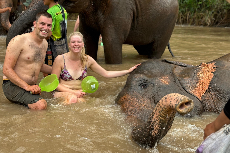 Chiang Mai: Excursión a Doi Inthanon y Santuario de ElefantesServicio de recogida del hotel