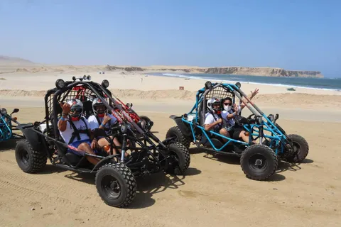 Aventure en minibus et visite de la réserve de Paracas