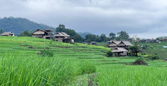 Chiang Mai: Pa Bong Piang Rice Terraces & Doi Inthanon