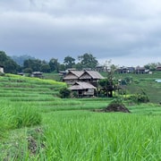 Chiang Mai: Pa Bong Piang Rice Terraces & Doi Inthanon