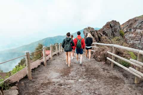 From Naples: Pompeii Ruins & Mount Vesuvius Day Tour