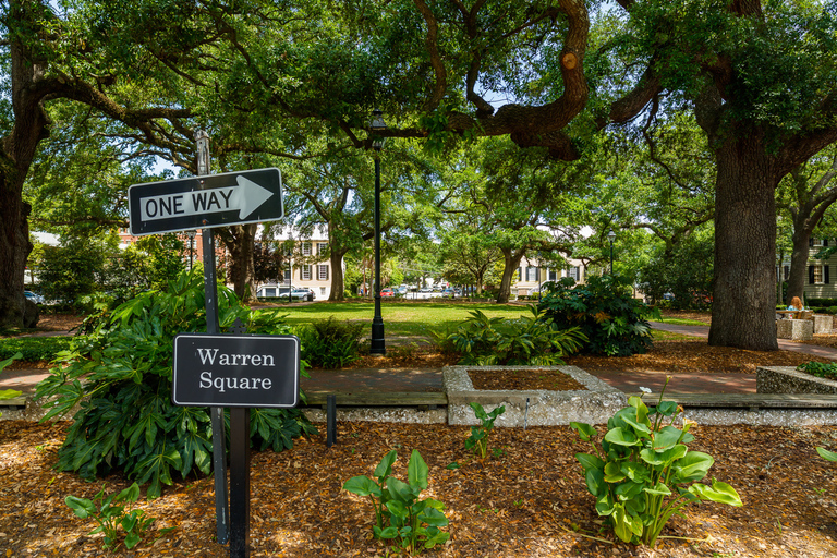 Historische Savannah-wandeltocht