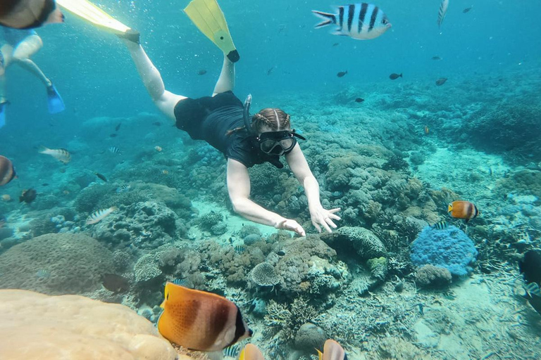 Nusa Penida: West Trip & Snorkeling Manta Bay with Lunch Snorkeling and Penida tour all Include Shuttle hotel In Bali