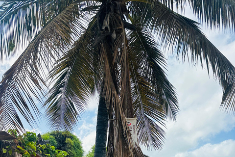 Tarrafal: Ribeira da Prata Natural Pools and Beach Day Trip