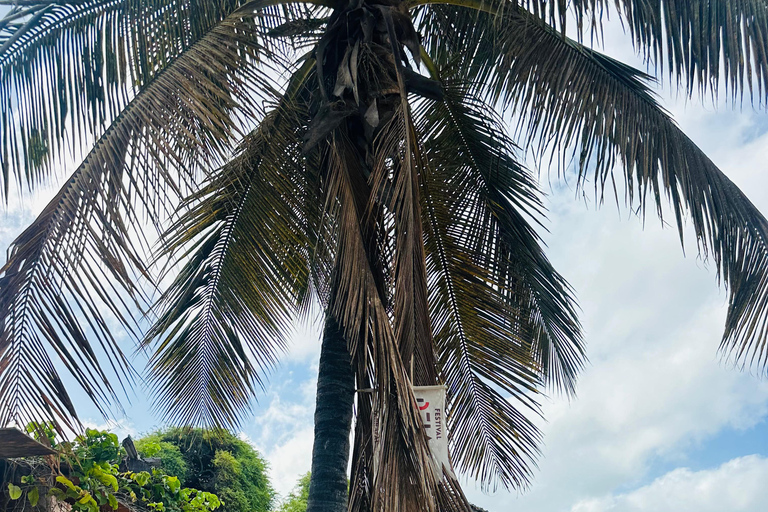 Tarrafal: Ribeira da Prata Natural Pools and Beach Day Trip