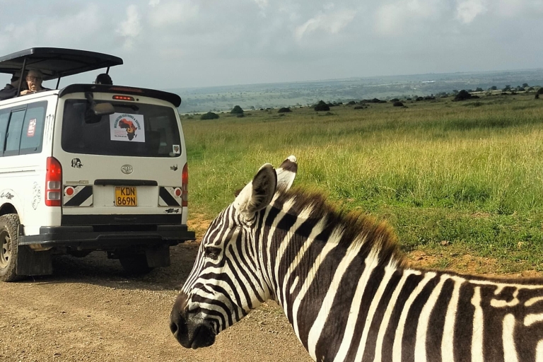 4- Heures Parc national de Nairobi Matinée de safari4 heures de safari dans le parc national de Nairobi