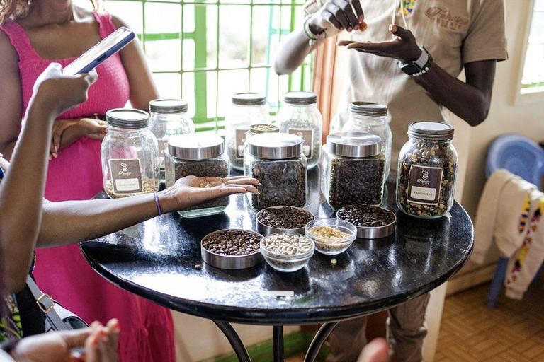 Fairview Coffee Farm Day Tour From Nairobi