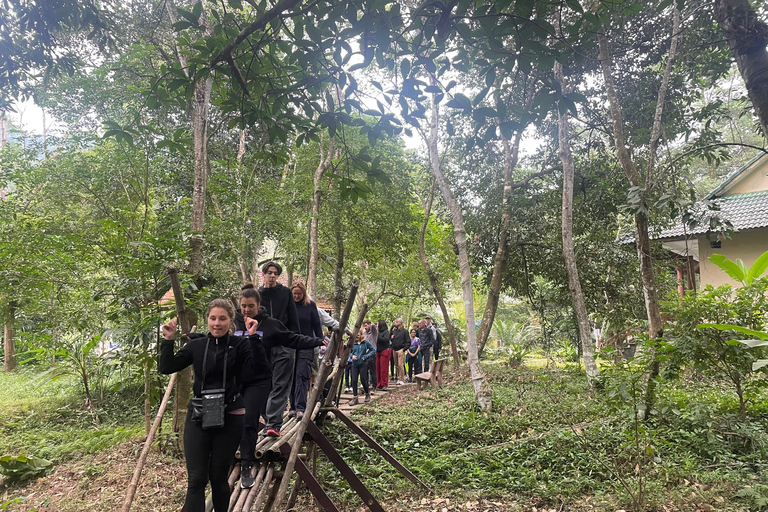 Phong Nha: Cave Exploration and Zipline Dark Cave Tour