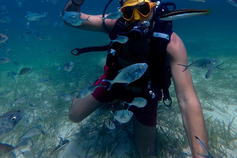 Mahdia: Guided Medina Tour and Scuba Diving Experience