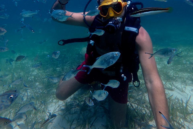 Mahdia: Guided Medina Tour and Scuba Diving Experience