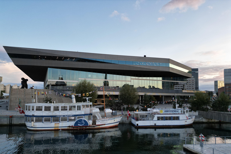 Guided Harbor Cruise: Aarhus Harbor Cruise