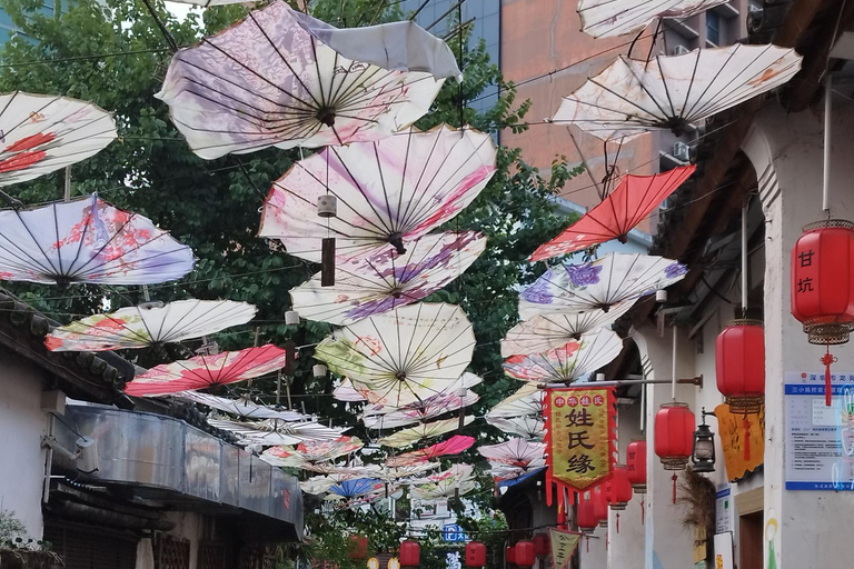 Excursão particular de um dia a Shenzhen saindo de Hong Kong